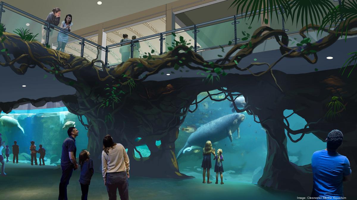 Vista interior del acuario